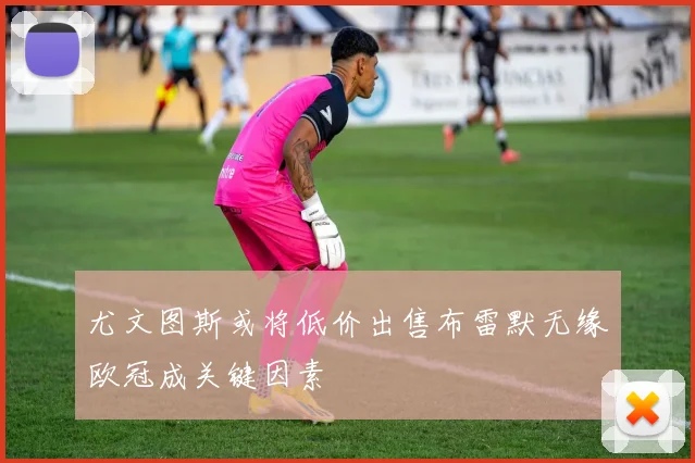 尤文图斯或将低价出售布雷默无缘欧冠成关键因素