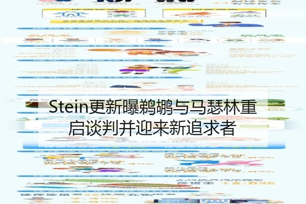 Stein更新曝鹈鹕与马瑟林重启谈判并迎来新追求者