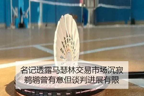 名记透露马瑟林交易市场沉寂 鹈鹕曾有意但谈判进展有限