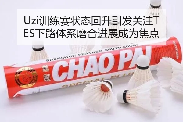 Uzi训练赛状态回升引发关注TES下路体系磨合进展成为焦点